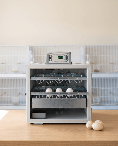 FIEM MG70/100 Family Incubator + Hatcher – 70 Setting / 35 Hatching - FIEM-SH70AMLP - FIEM - Egg Incubator