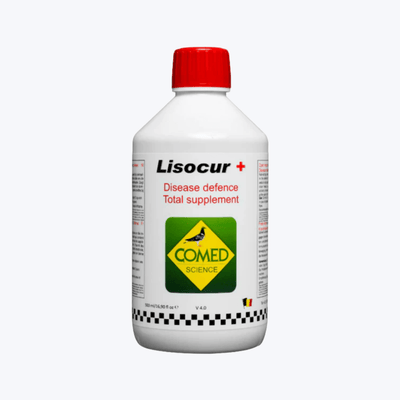 Lisocur+ – Respiratory & Gut Defense for Birds - LISOCUR-250ML - Comed Science - Bird Supplement