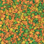NutriBird P15 Tropical -  - Versele Laga - Food & Seed