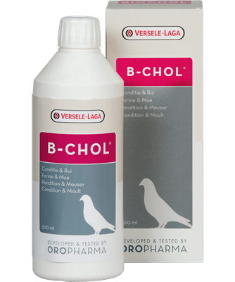 Oropharma B-Chol 500 ml -  - Versele-Laga - Bird and Pigeon Health Supplement