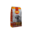 Spike Dog - Adulto - L-DS003-2 - Spike - Dogs